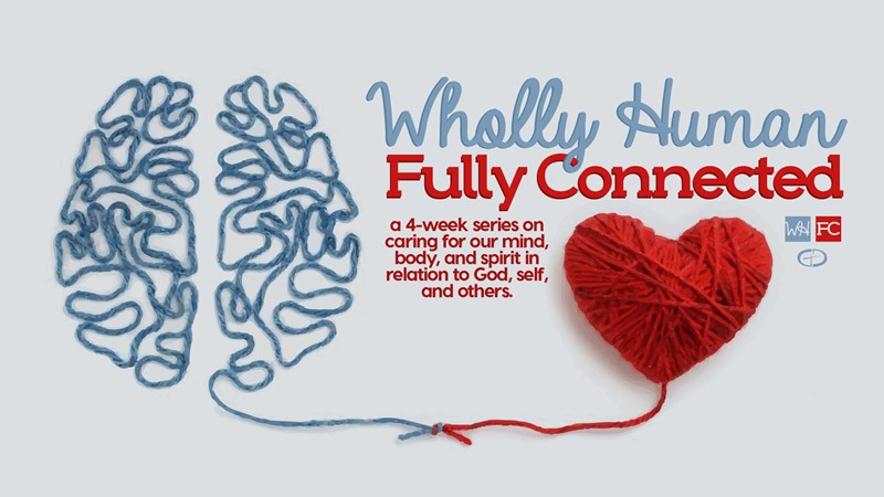 Wholly Human | Fully Connected